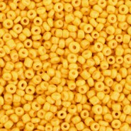Seed beads 11/0 (2mm) Radiant yellow